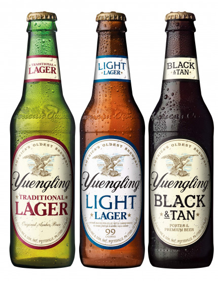 Yuengling THREE BOTTLES cut to shape STICKER