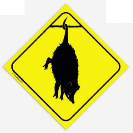 phish reba POSSUM  Band Sticker