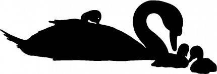 Swan Swans Animal Animals Vinyl Decal Sticker