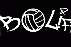 Volleyball Decal VB Life
