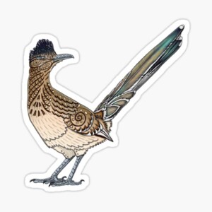 ROAD RUNNER COLOR ANIMAL STICKER 88