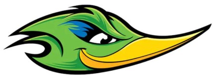 roadrunner_green_head_sticker