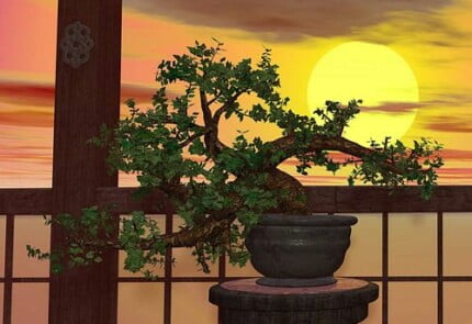 Buildings and Landscape Wall Decals 027