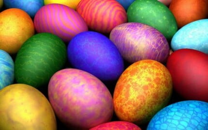 Close Up Photography Vinyl Graphics 04