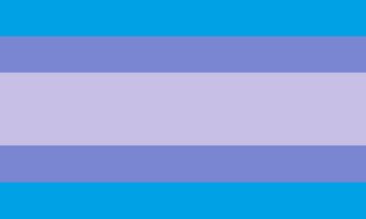 endoboy 1 pride flag