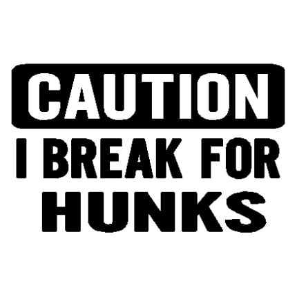 Brake 4 Hunks Decal - 328