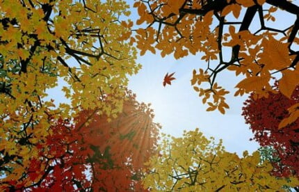 Buildings and Landscape Wall Decals 018