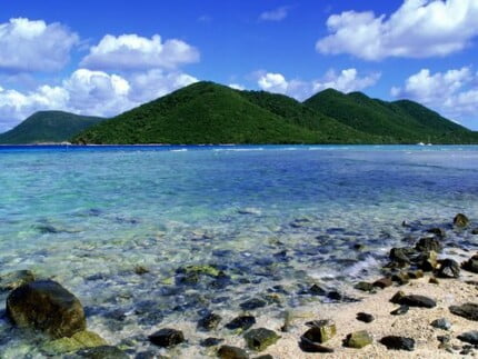 Beaches and Coastal Vinyl Wall Graphics 054