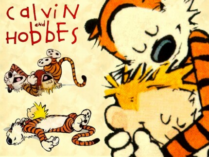 Calvin and Hobbes Rectangular Color Stickers 09