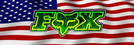 FOX 4 Rear Window Graphic