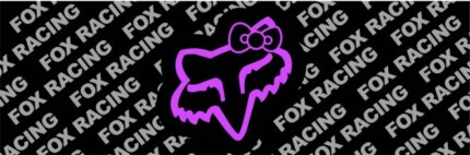 FOX BOW 1 Rear Window Graphic