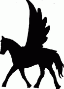 Horse Decals -33