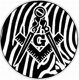 MASON FILLS Skin Zebra