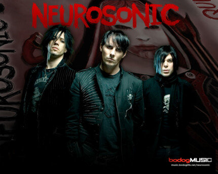 Nuerosonic Color Band Decal