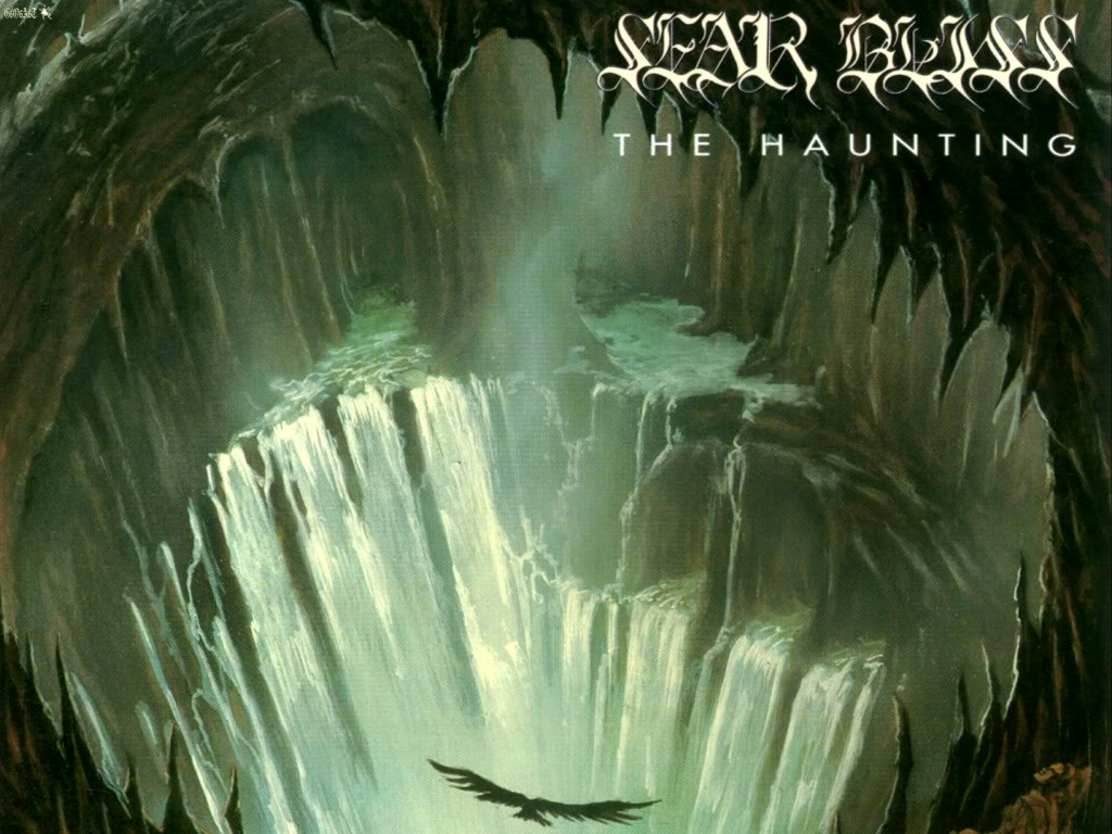 SEAR BLISS Color Band Decal