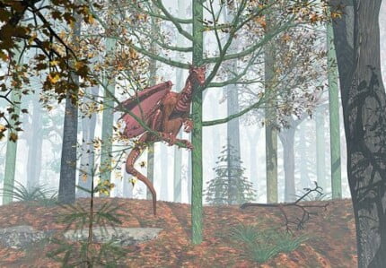 Dragons and Skull Wall Decals 24