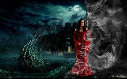 Fairies and Fantasy Wall Graphics 011