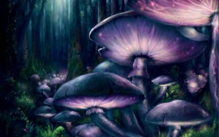 3D Space and Stars Wall graphics 27