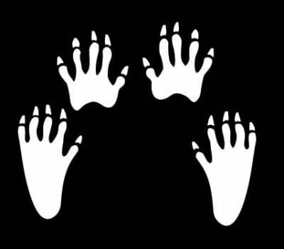 Coon Tracks Vinyl Hunting Sticker