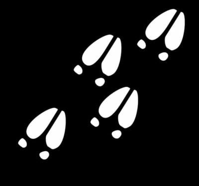 Deer Tracks Vinyl Hunting Decal