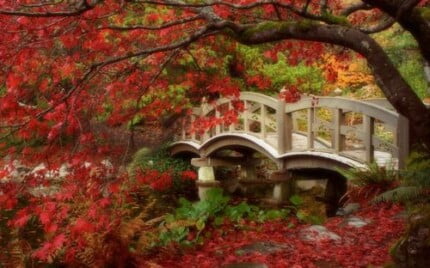 Fall Colors Adhesive Wall Graphics 36