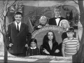 the ADDAMS familt tv show sticker