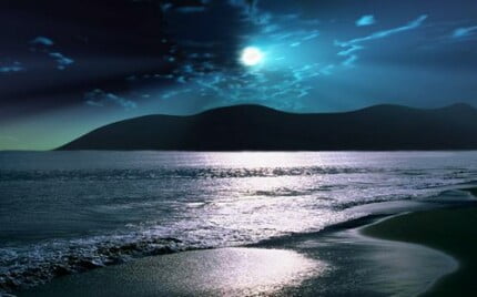 Abstract Art Vinyl Wall Decals 44