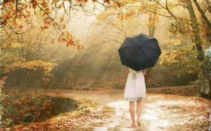 Fairies and Fantasy Wall Graphics 122