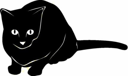 Cat Cats Animal Animals Vinyl Decal Sticker 09
