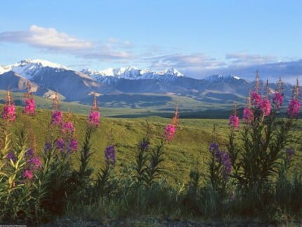 Mountain Scenes Wall Art Decals 043