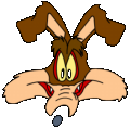 Wile E Coyote Color Head Adhesive Vinyl Decal Sticker