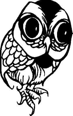 Bird Birds animal Car or Wall Vinyl Decal Sticker 19