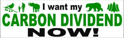 Carbon Dividend Now BUMPER STICKER