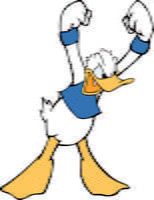 Donald 3