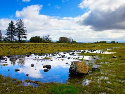 Landscape Vinyl Wall Graphic Decals 29