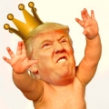 TRUMP BABY KING STICKER 2018
