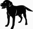 15T Retriever Dog Decal