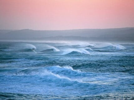 Forces of Nature Adhesive Wall Art 46