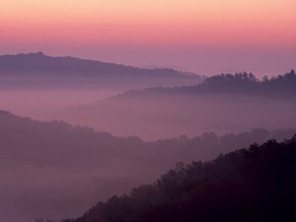 Landscape Vinyl Wall Graphic Decals 64