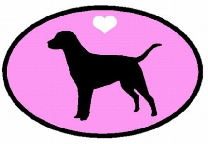 Oval Labrador Retriever Decal PINK
