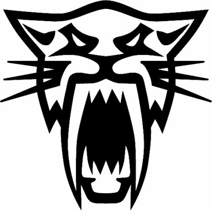 Arctic Cat Wildcat Logo Diecut Racing Decal