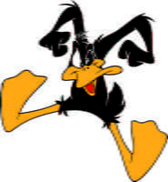 Daffy 06