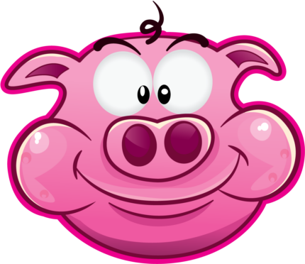 pig toon