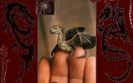 Dragons and Skulls Wall Decals 15