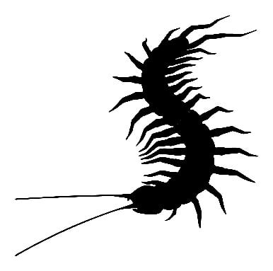 Centipede Sticker 015