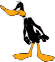 Daffy 04