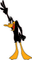 Daffy 12