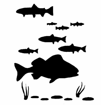 Fish Tank Decal