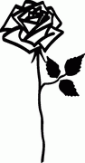 Rose Decal 6