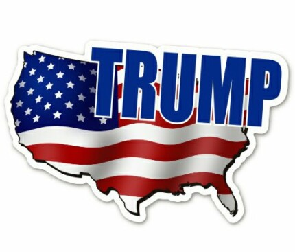 2020 TRUMP political sticker  19
